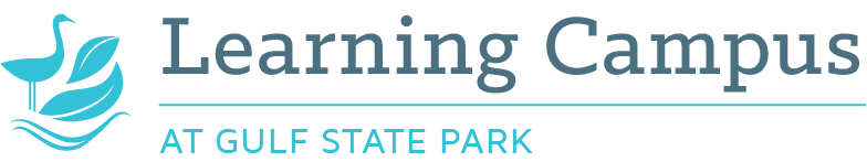 Logo for The Learning Campus