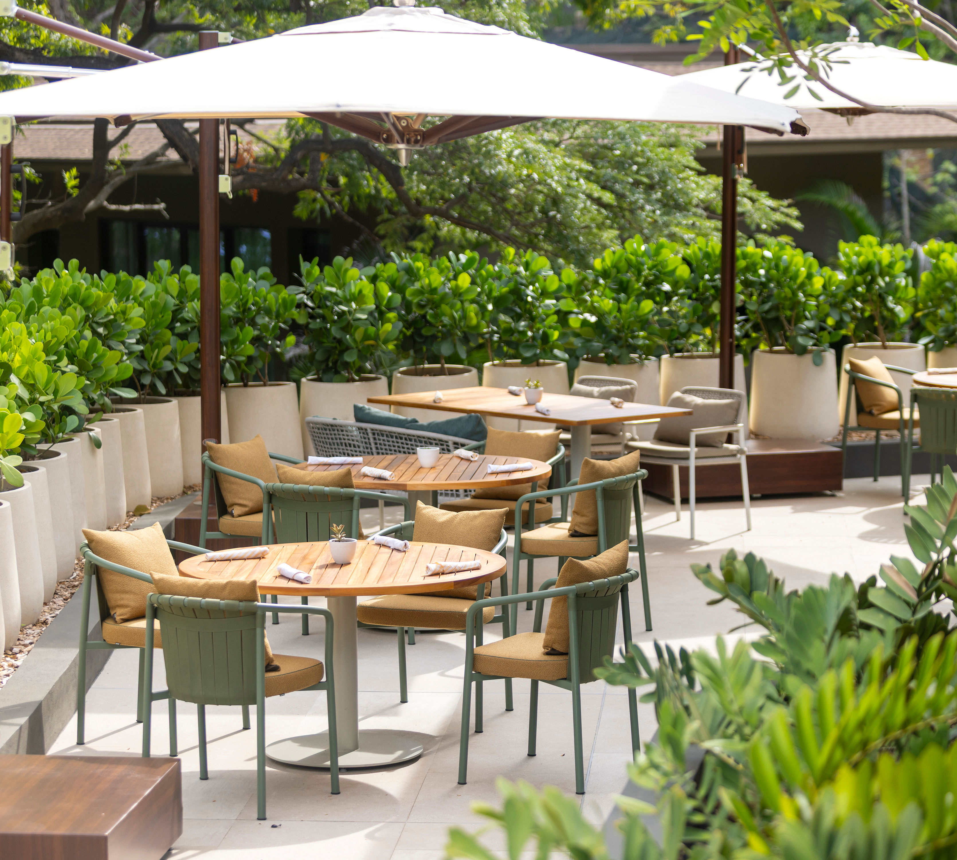 Zonă de luat masa pe terasa restaurantului Vida