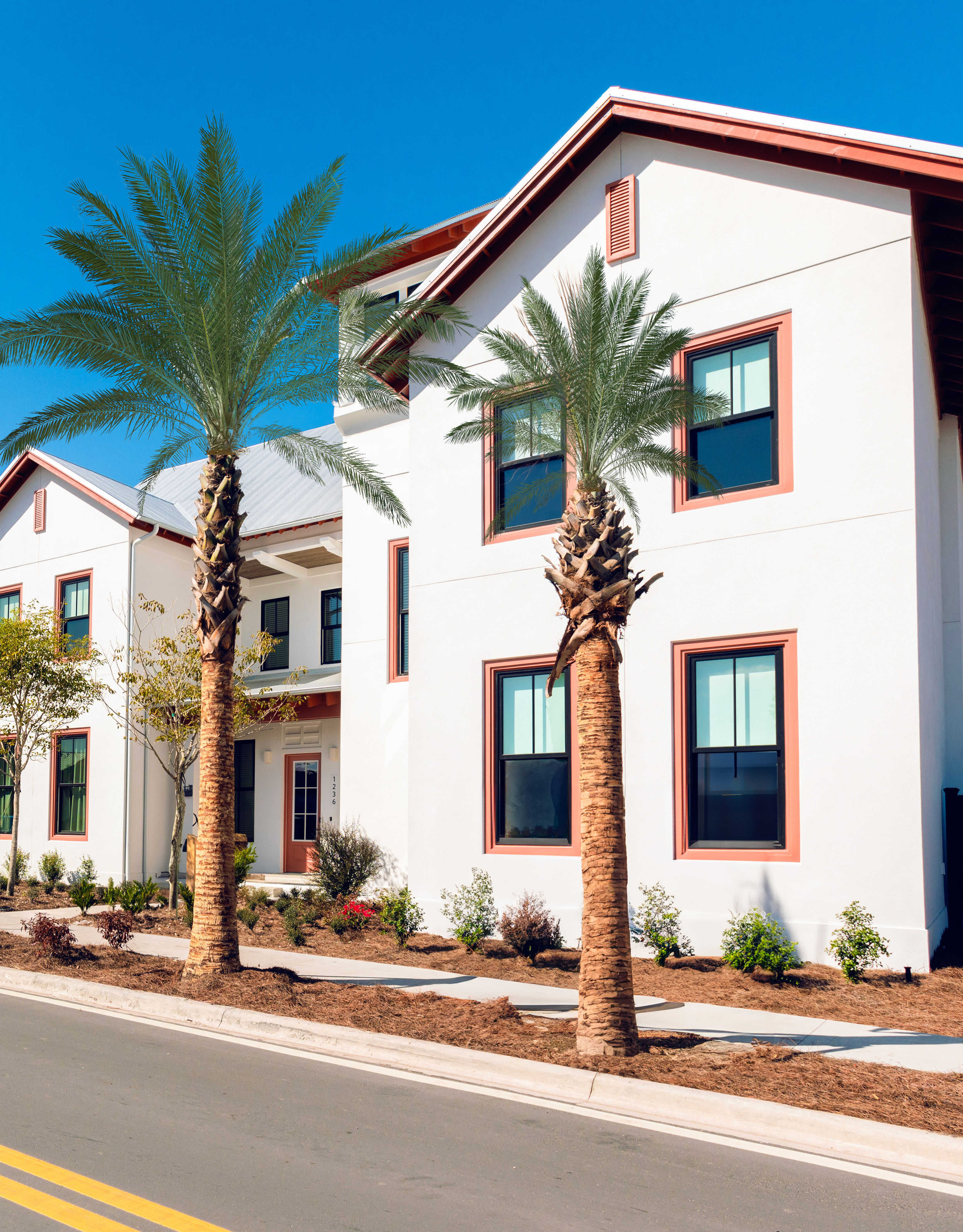 Palmiye ağaçları ve yolu bulunan binalar