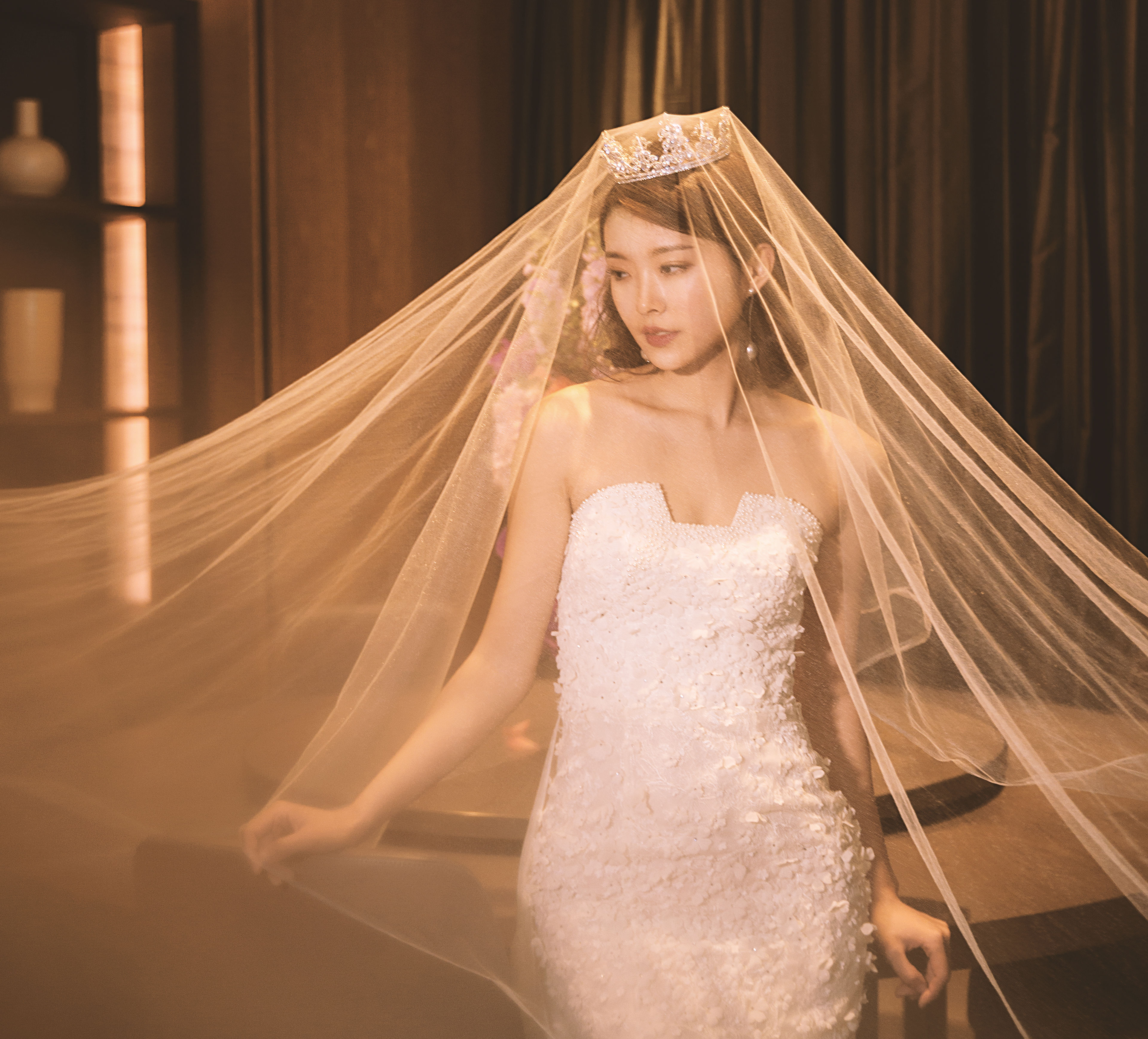 Bride in Wedding Dress