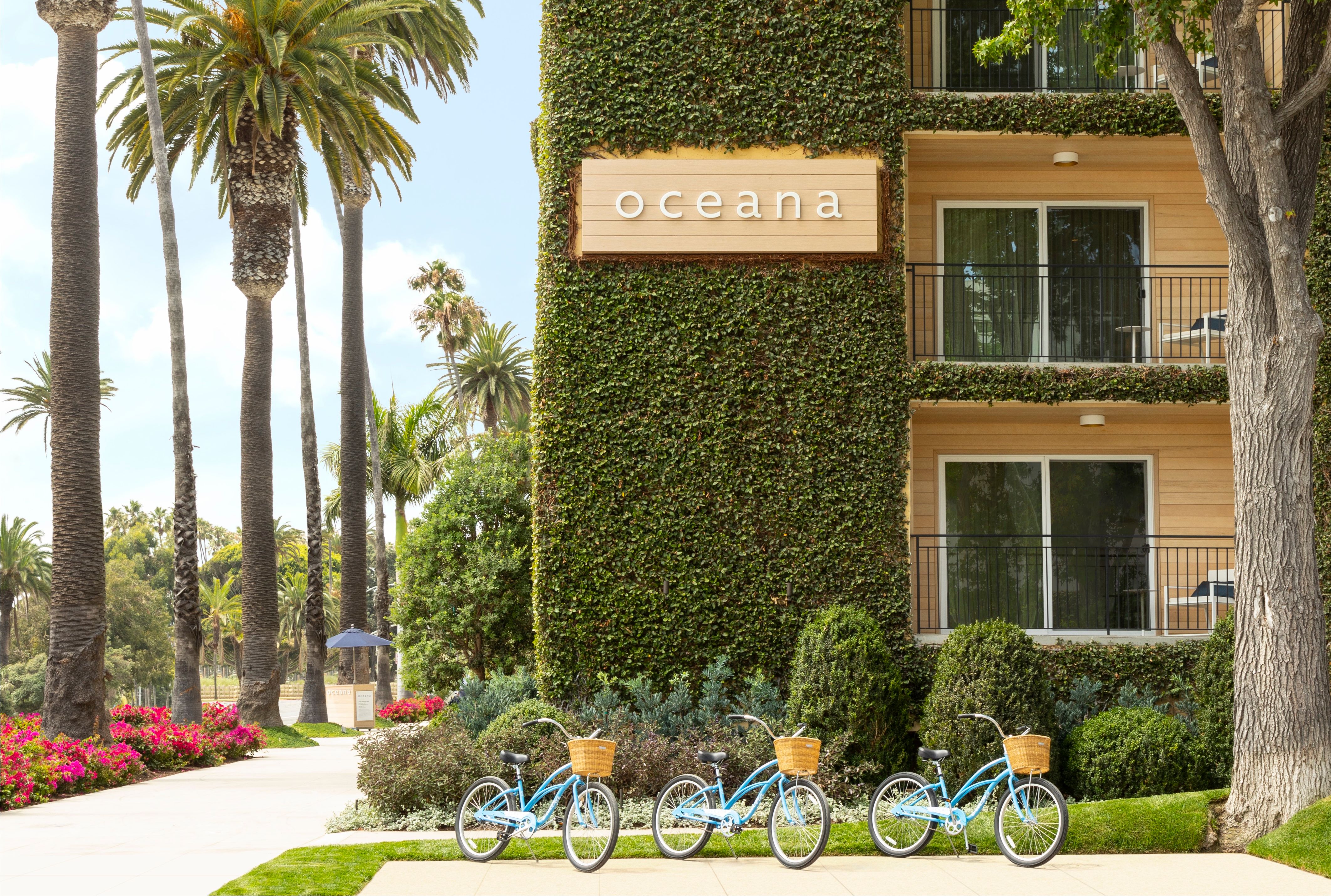 屋外とバイク、バスケットの眺め