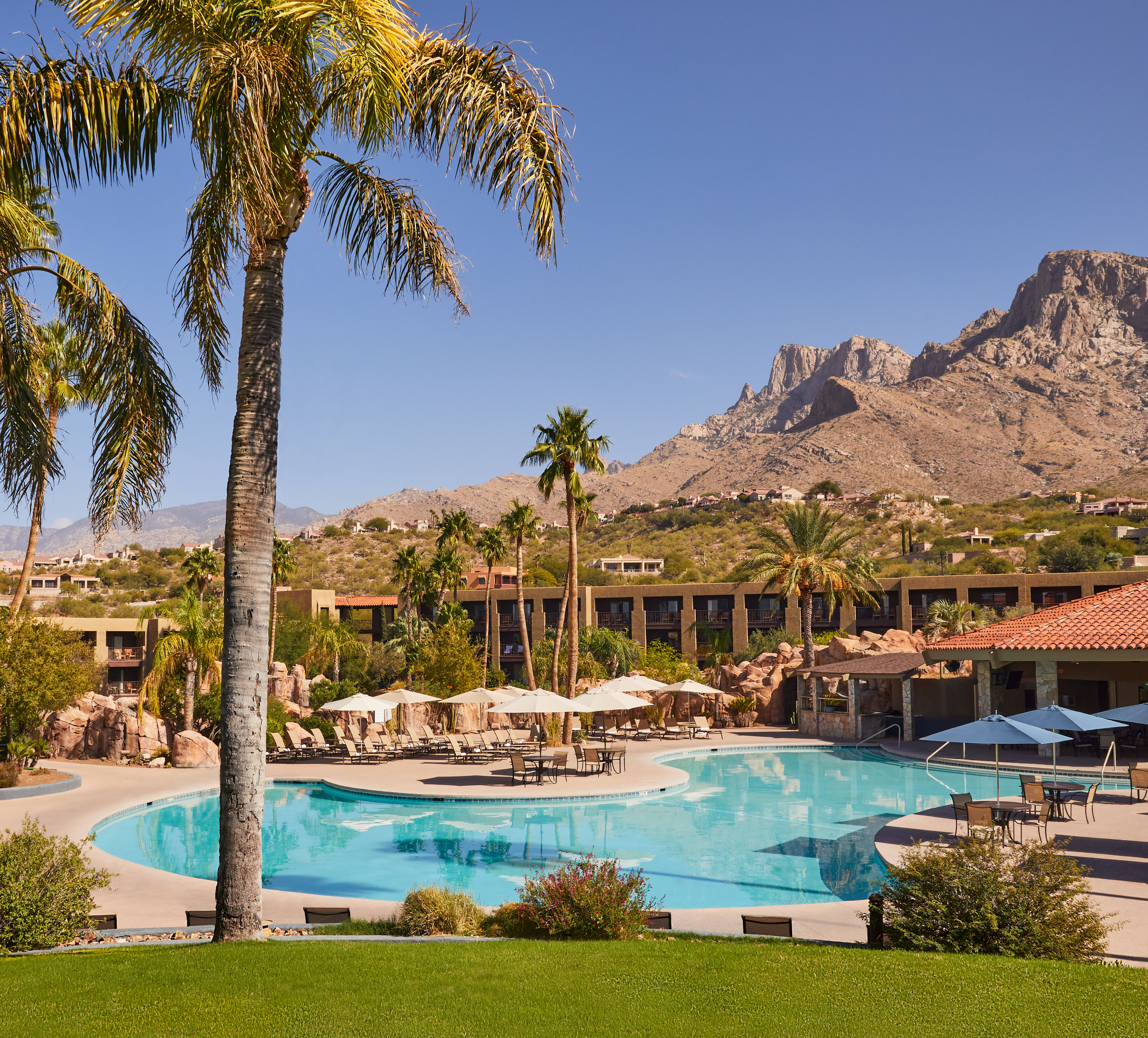 Main Outdoor Pool Area with Lounge Chairs under Umbrellas, Palm Trees and Mountains in Background