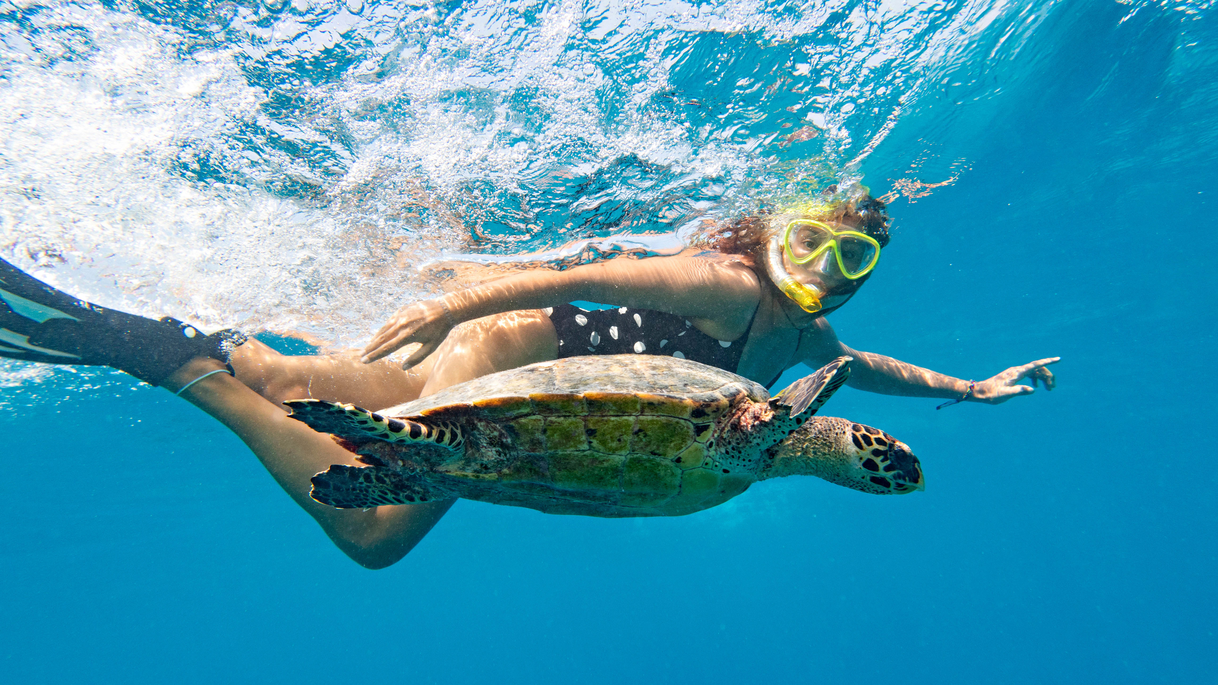 Une personne faisant de la plongée avec masque et tuba avec une tortue de mer