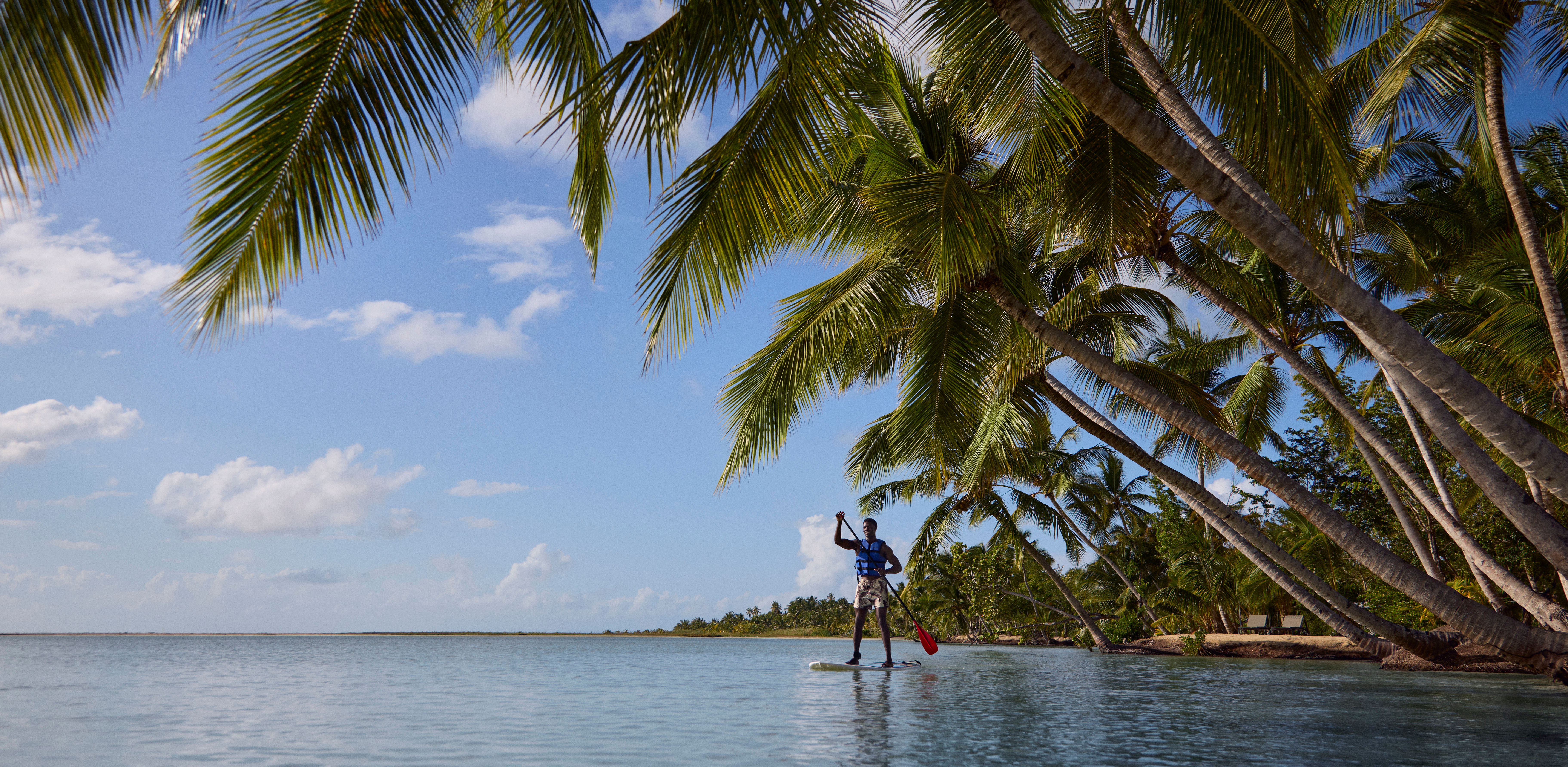 Persoană cu padele pe apă liniștită și superficială lângă o linie de palmieri aplecați sub un cer albastru strălucitor.