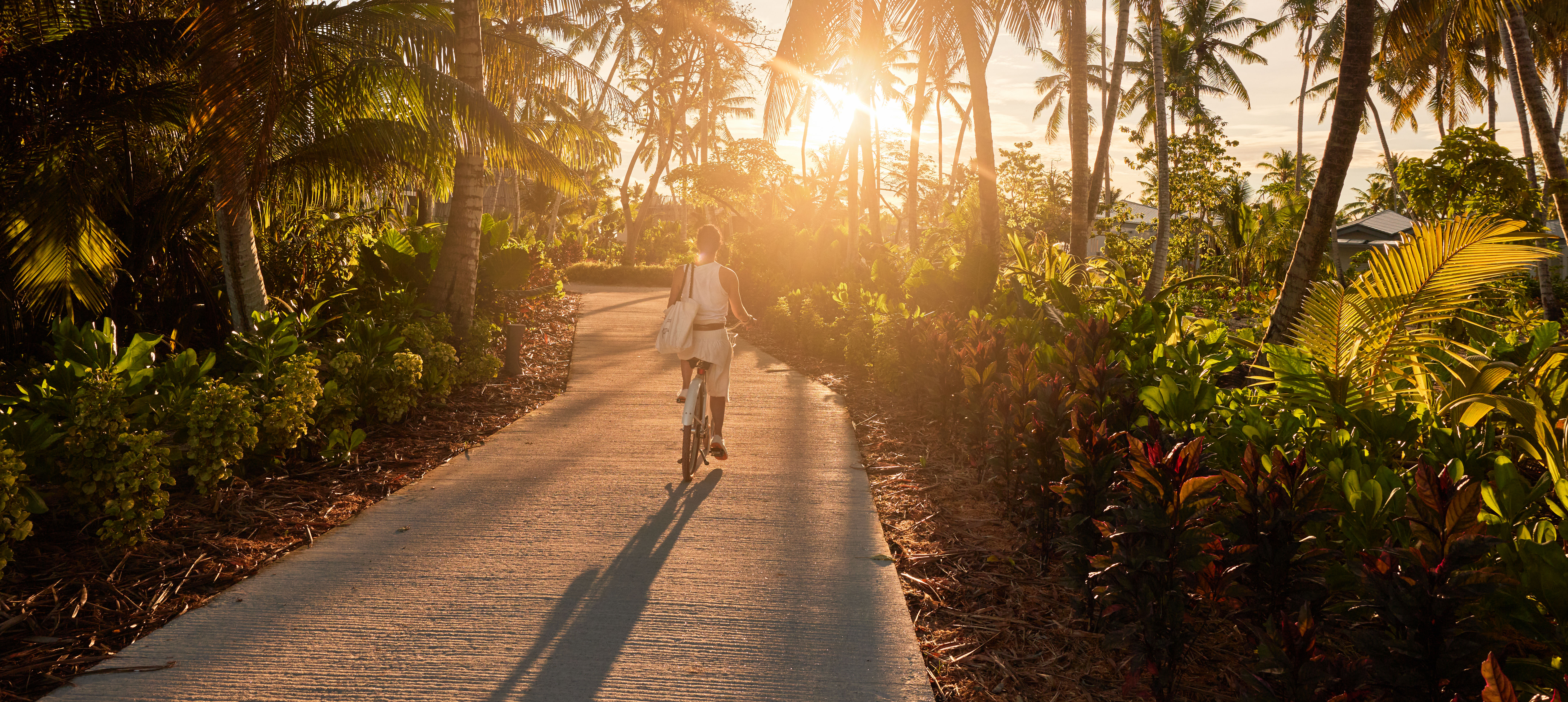 o fată mergând pe bicicletă la apus