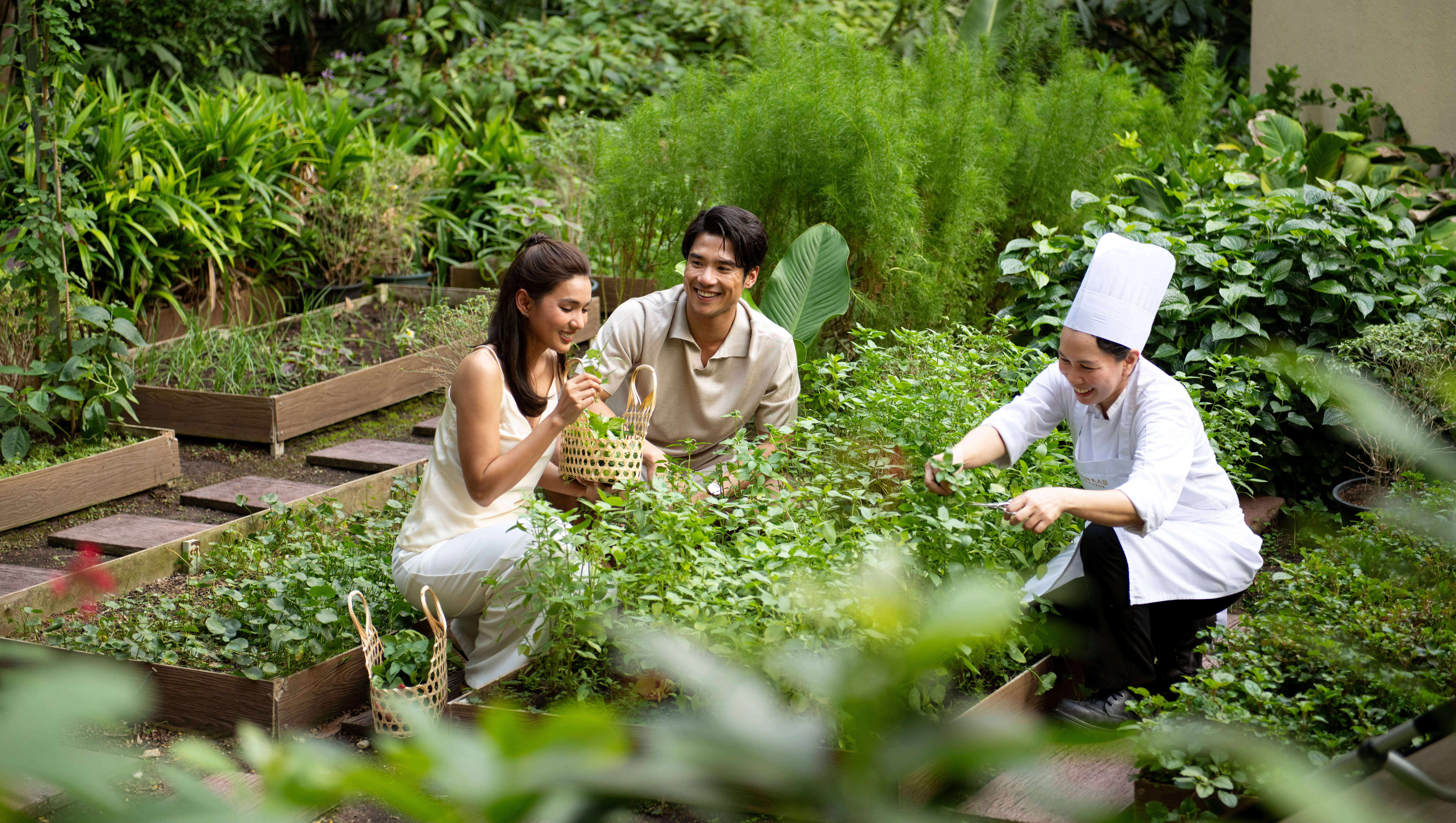 A couple experiencing the garden with a female chef while she cuts herbs.