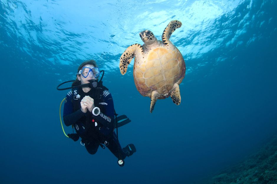 Scuba diving experience at Conrad Maldives Rangali Island