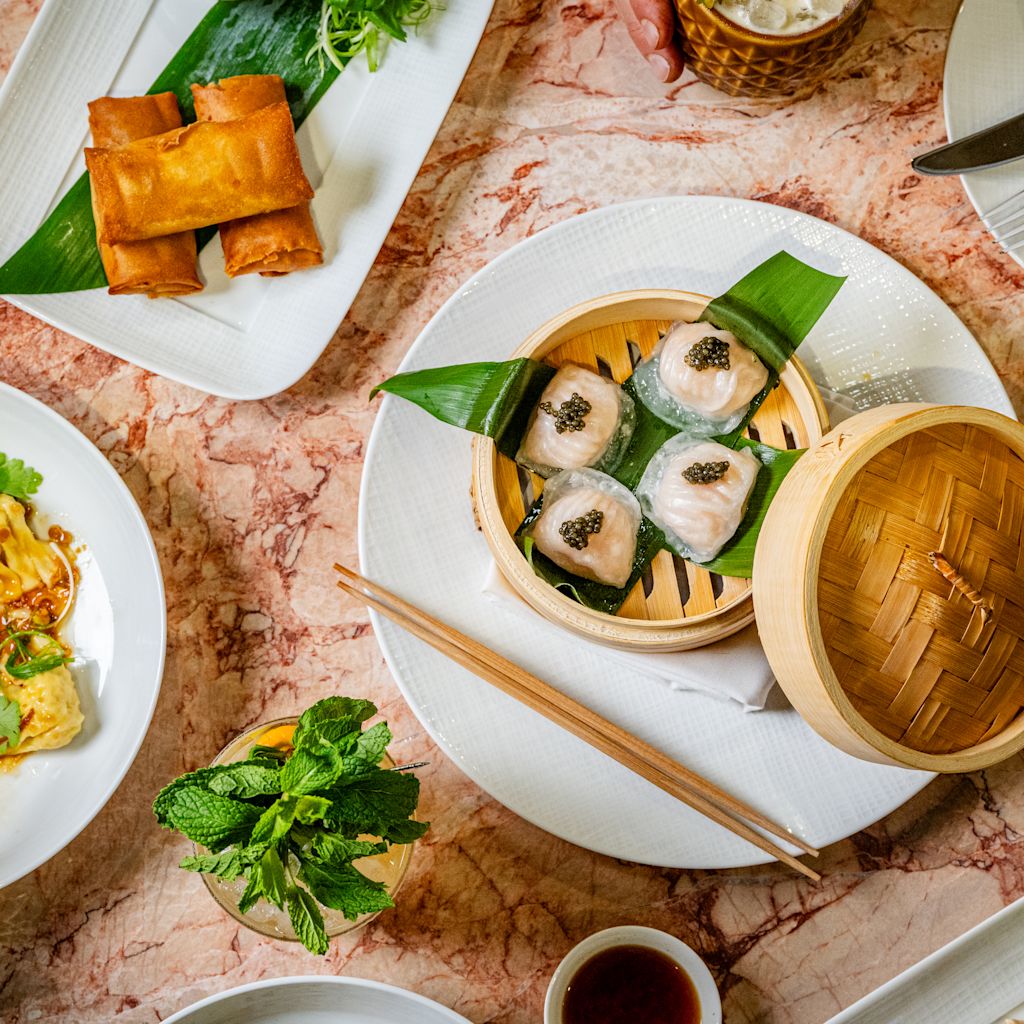 A Person Dining at Gemma Restaurant