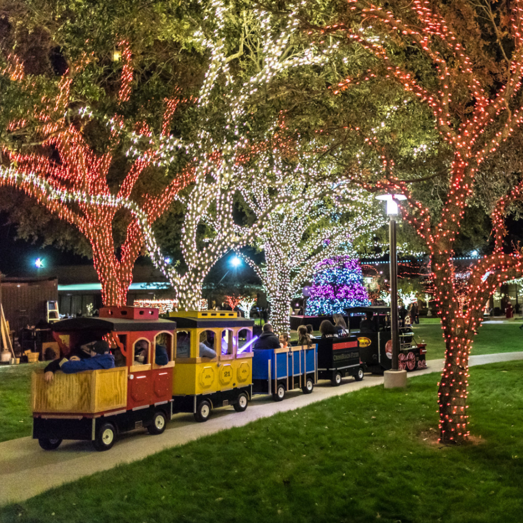 Train making its way through trees lit with festive lights