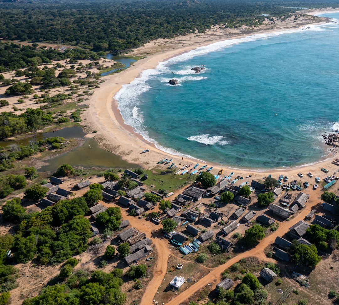 Aerial shot of sea and beach