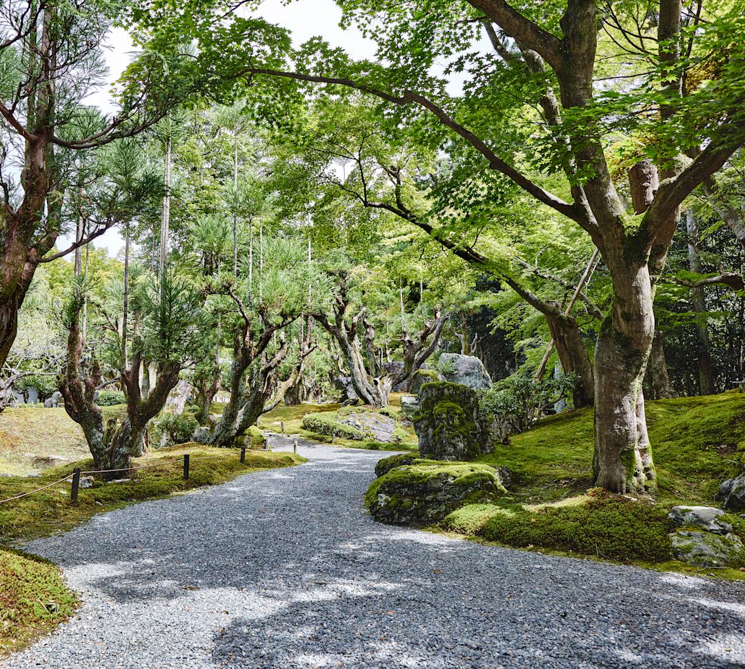 เส้นทางเดินป่า