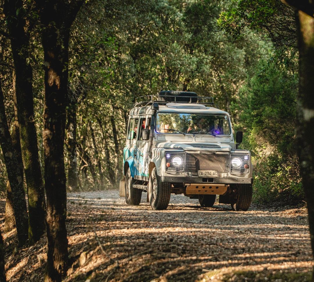 Ser 4x4