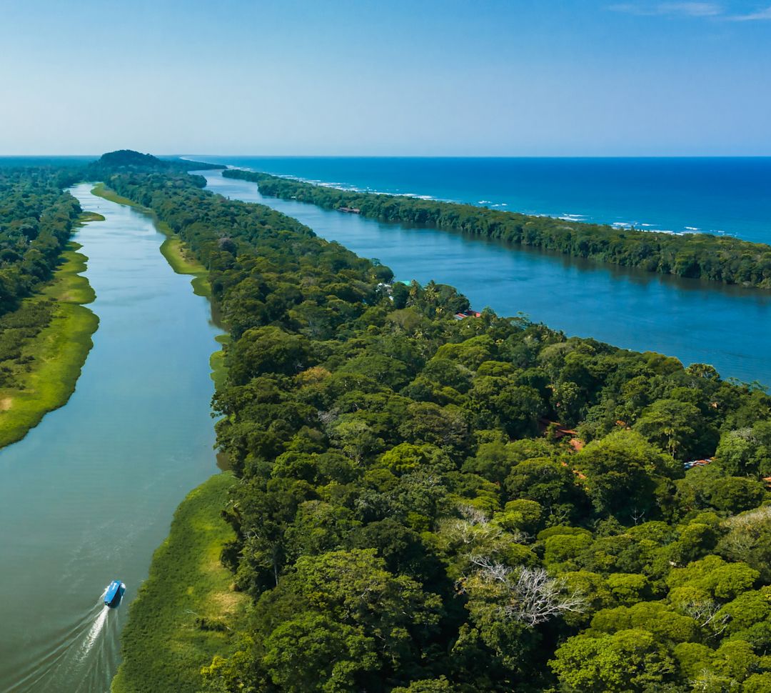 Aerial view of a wide river winding through dense green jungle, with the ocean in the distance