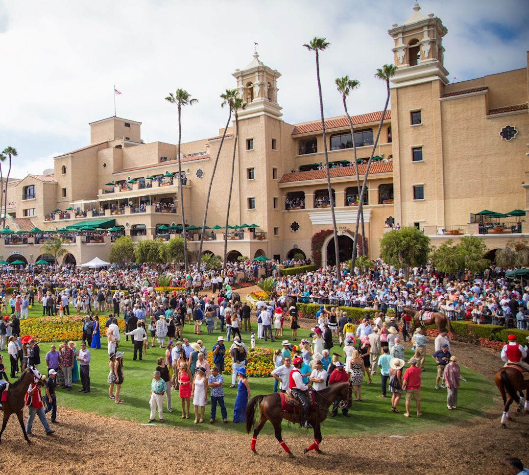 Breeder's Cup at the Del Mar Racetrack, crowd watching the horses walk by