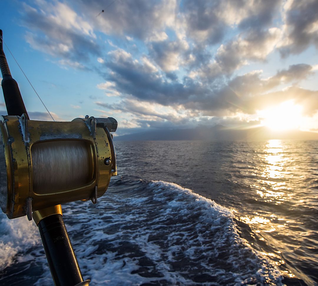 Close up of fishing reel