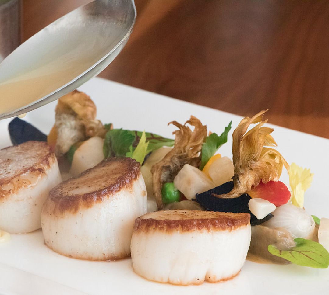 Scallops