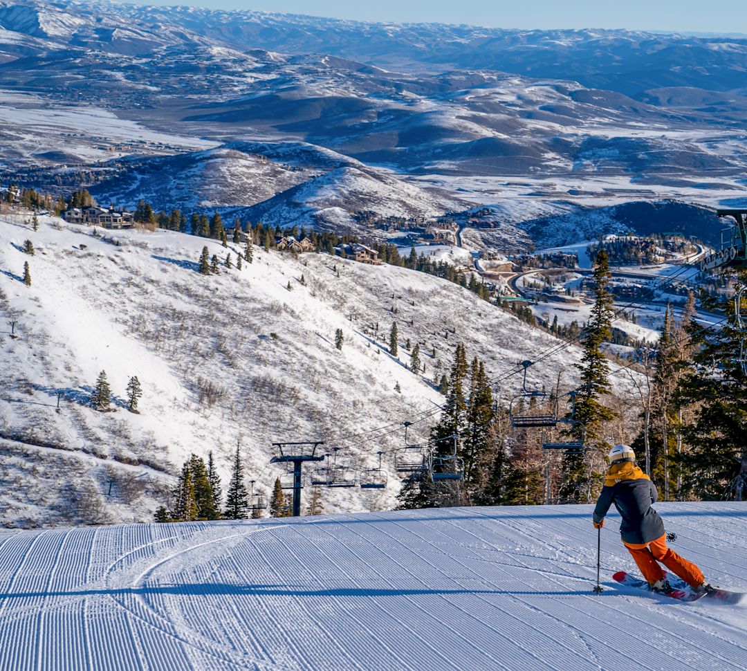 a Person Skiing on a Mountain with Trees