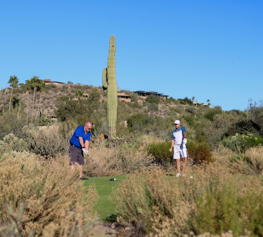 guest golfing by cactus