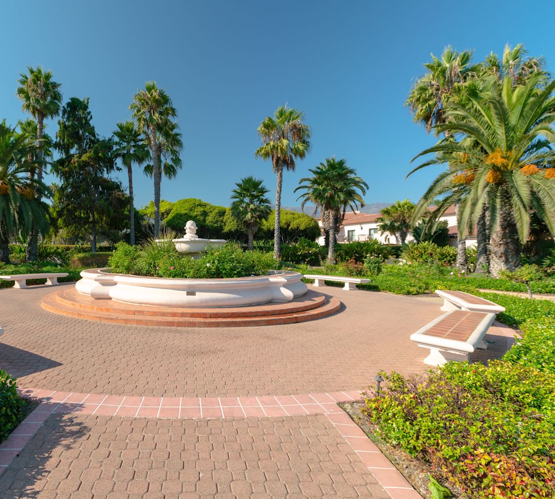 玫瑰花园，户外活动空间