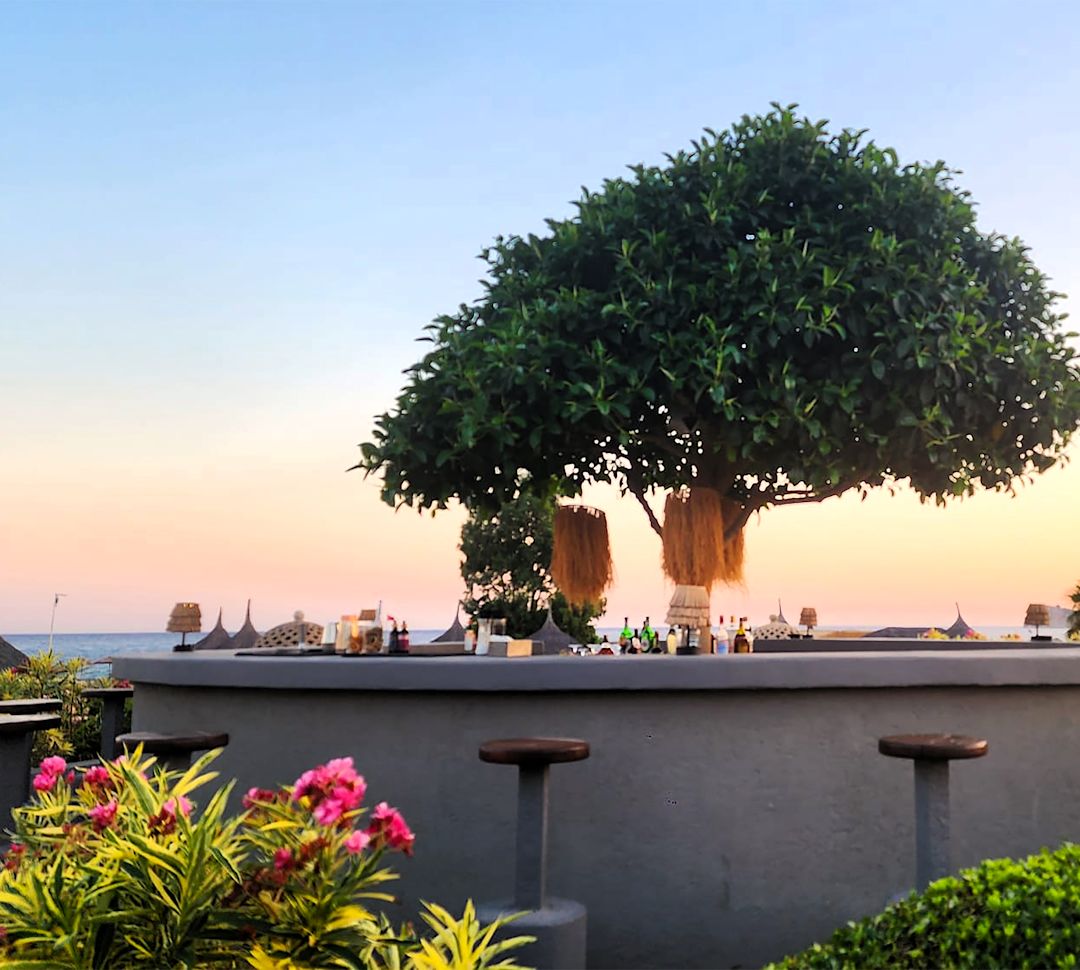 bar do terraço ao ar livre, vista para as palmeiras e a água