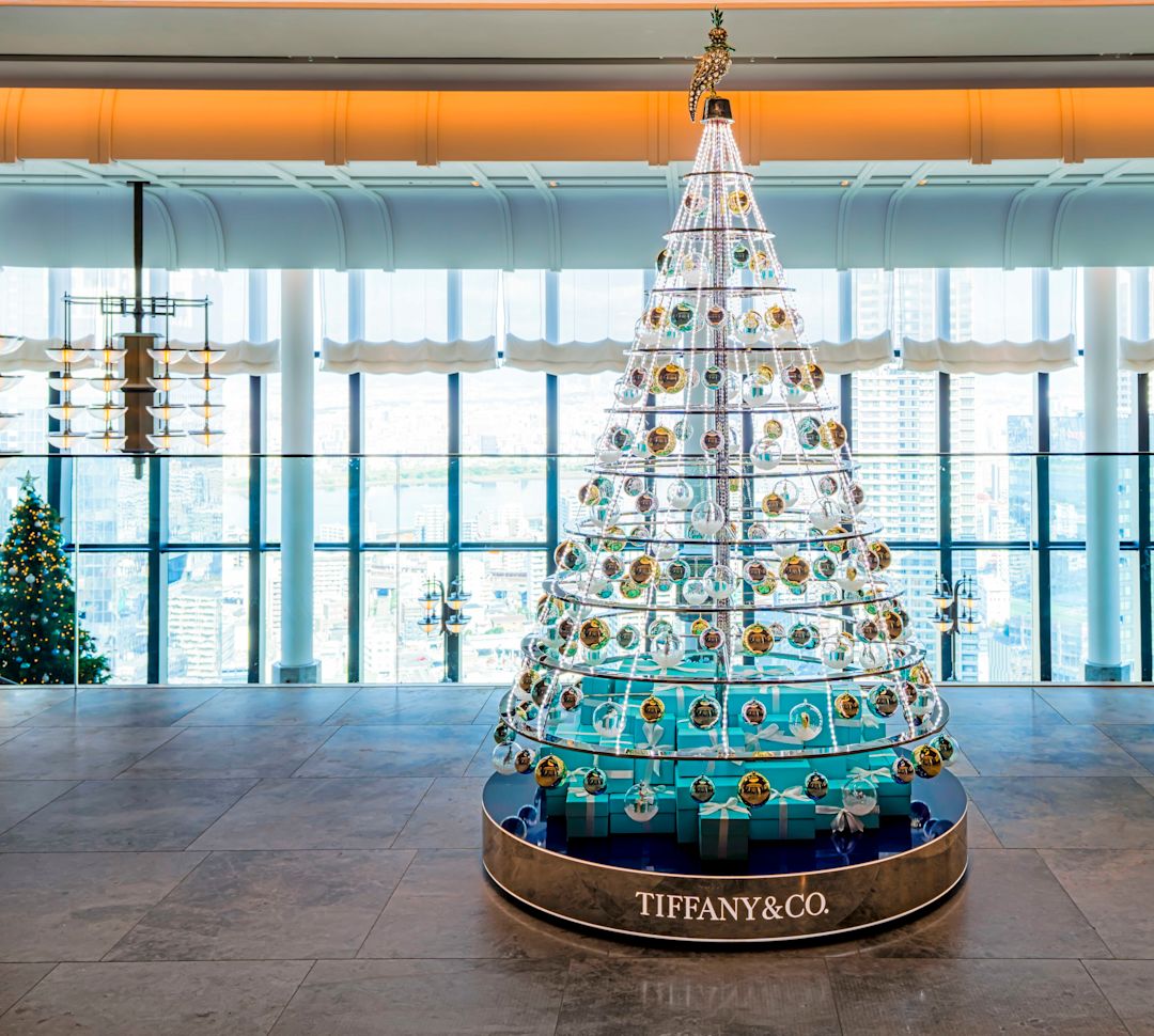 クリスマス用に飾られたツリー - トランジション