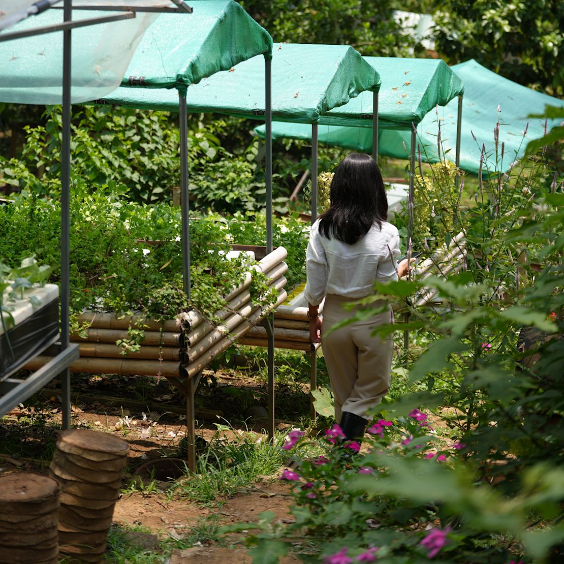 Farm Life-Transition