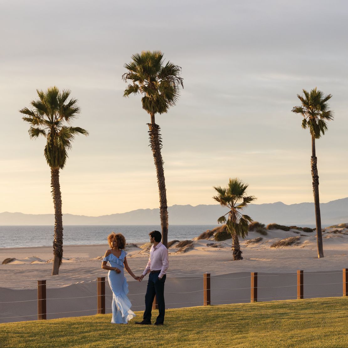 Couple Enjoying a Romantic Day at the Beach with Palm Trees-transition