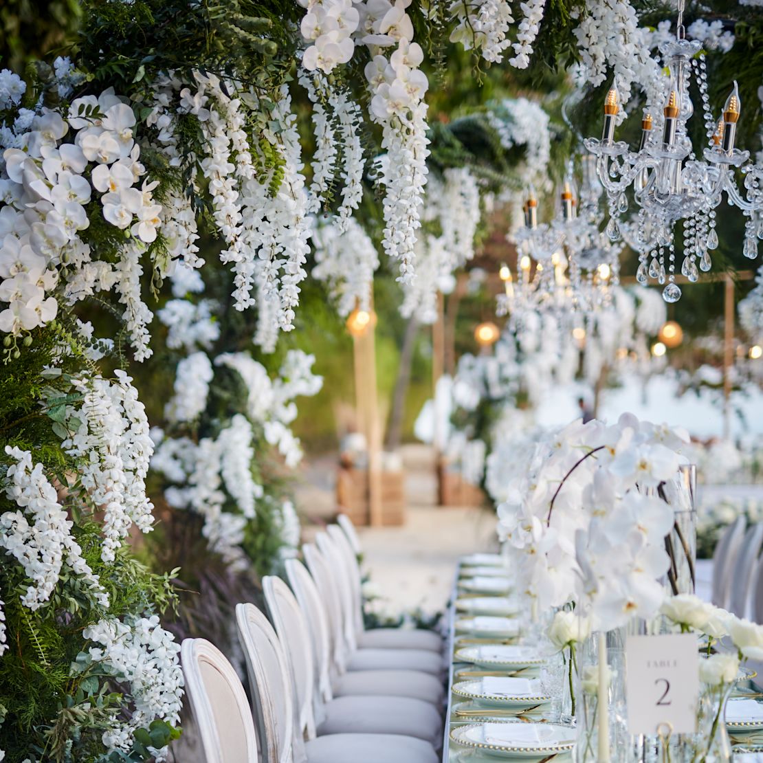 Detalii ale unei configurații de masă pentru a muri într-o grădină cu flori albe - Tranziție