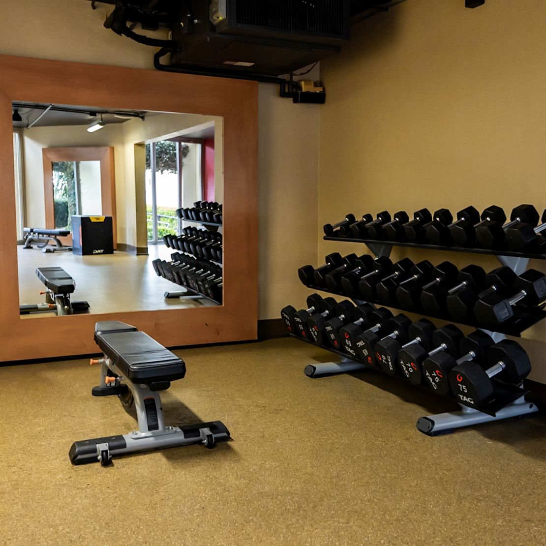 Weights in a Fitness Center-transition