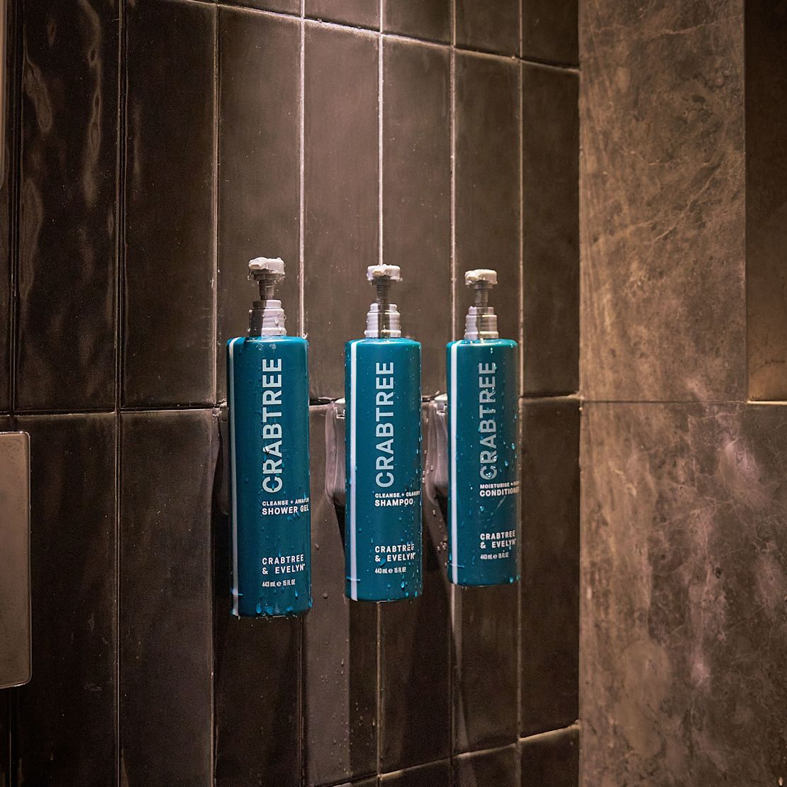 Crabtree Amenities on a Bathroom Wall-transition