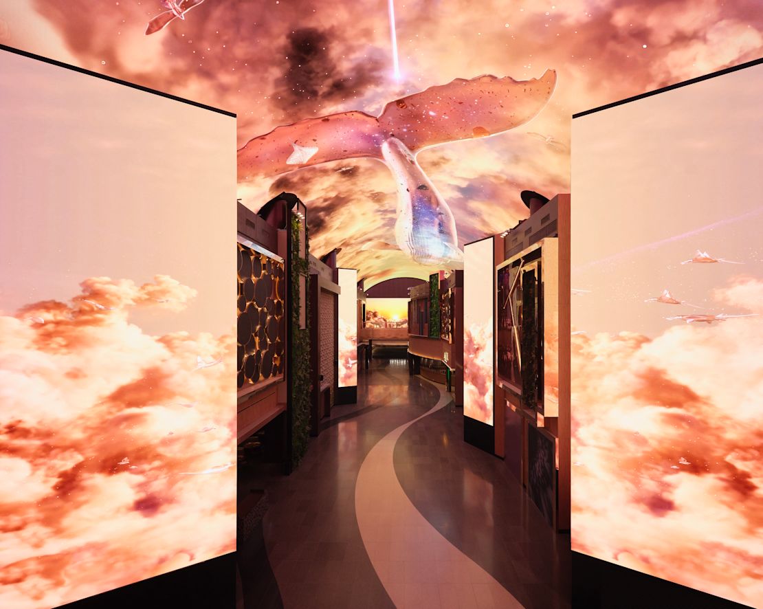 양쪽에 하늘 전망을 감상할 수 있는 예술품이 있는 복도, 피시핀 오버헤드 트랜지션 이미지