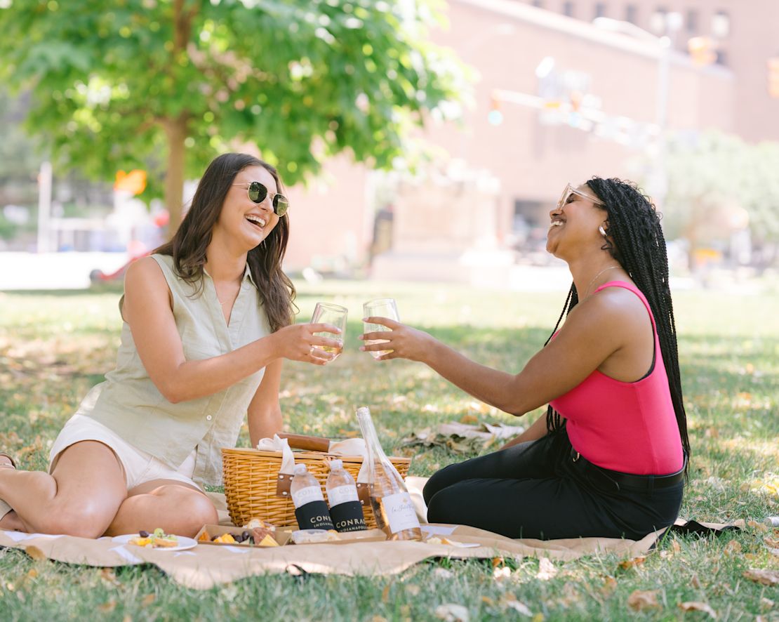 guests having a picnic on the lawn, toasting with wine-transition
