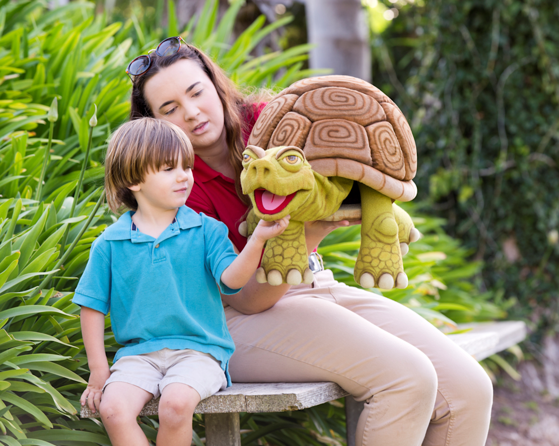 女人和小男孩与乌龟玩偶过渡