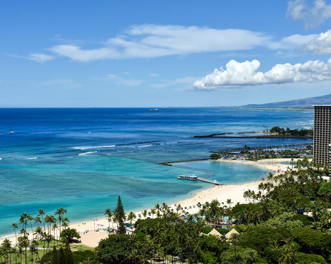 Vedere cu plajă și copaci - Tranziție