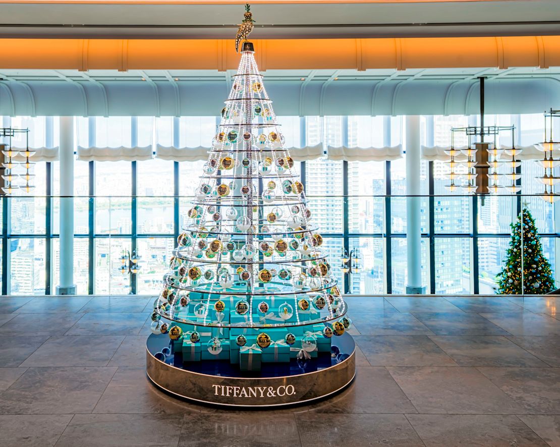 Tree Decorated for Christmas-transition