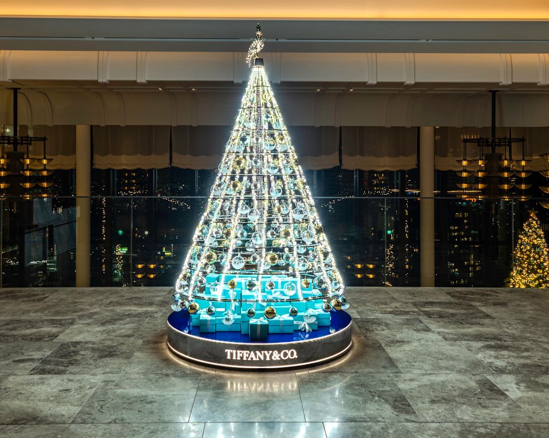 Tiffany și Co. Brad de Crăciun ridicat cu lumini strălucitoare în zona holului - Tranziție