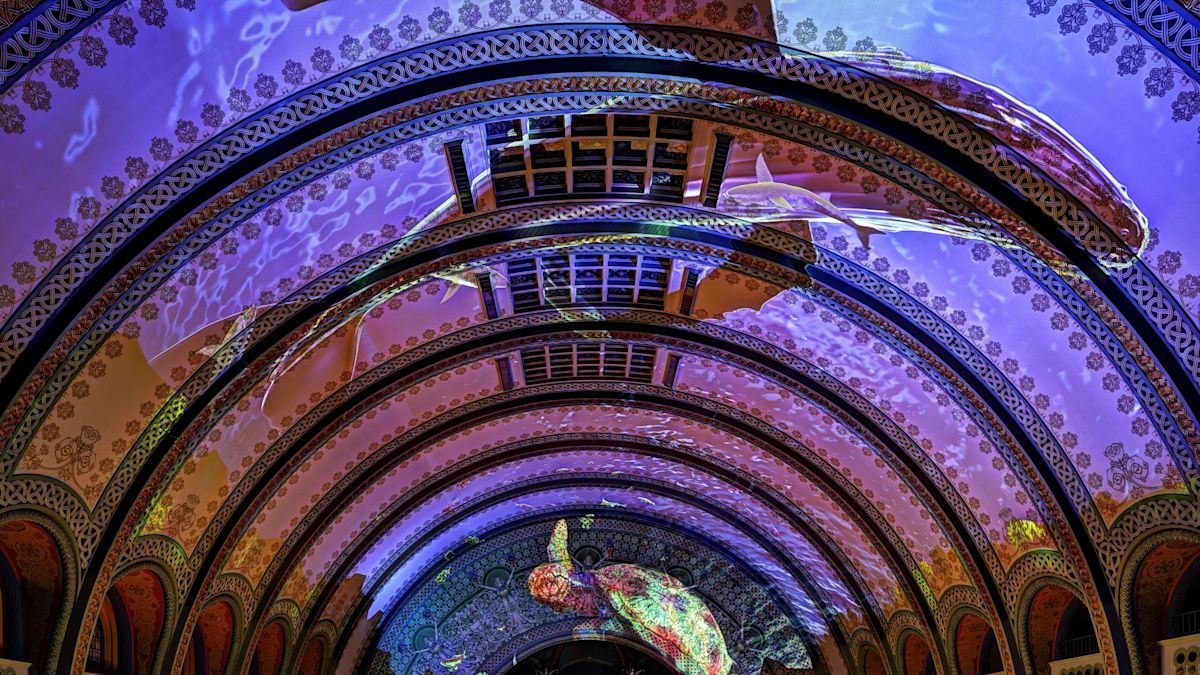 大堂展示天花板上的海洋演示