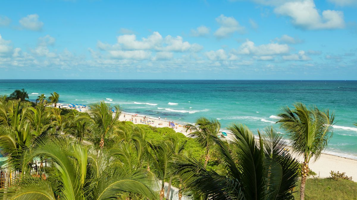 Beach View