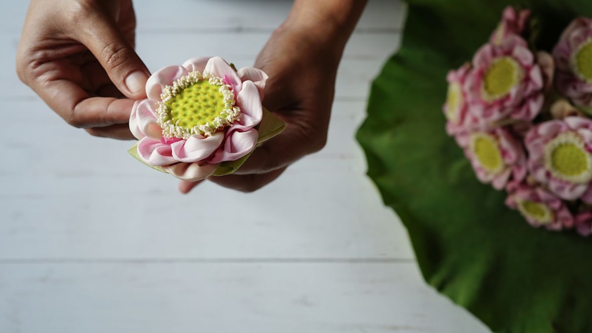 Hand Holding a Flower