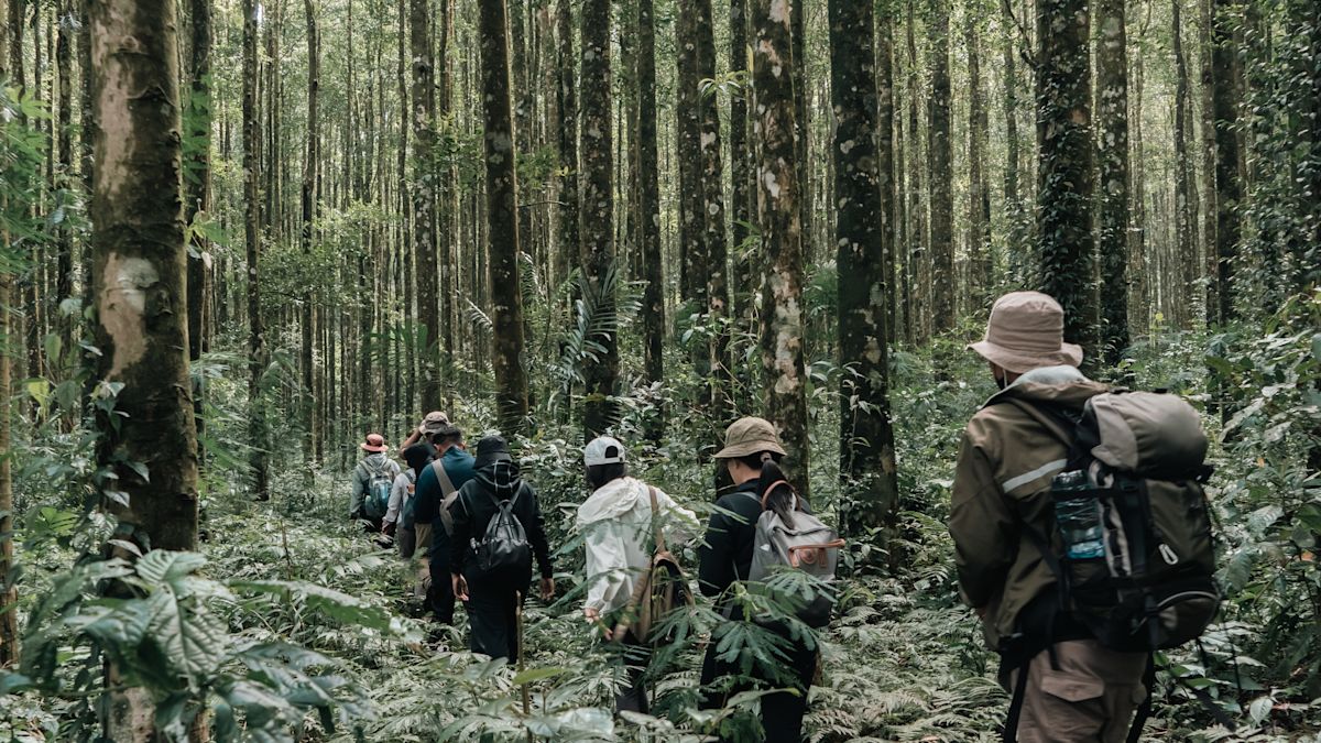 detail hotel dari jarak dekat