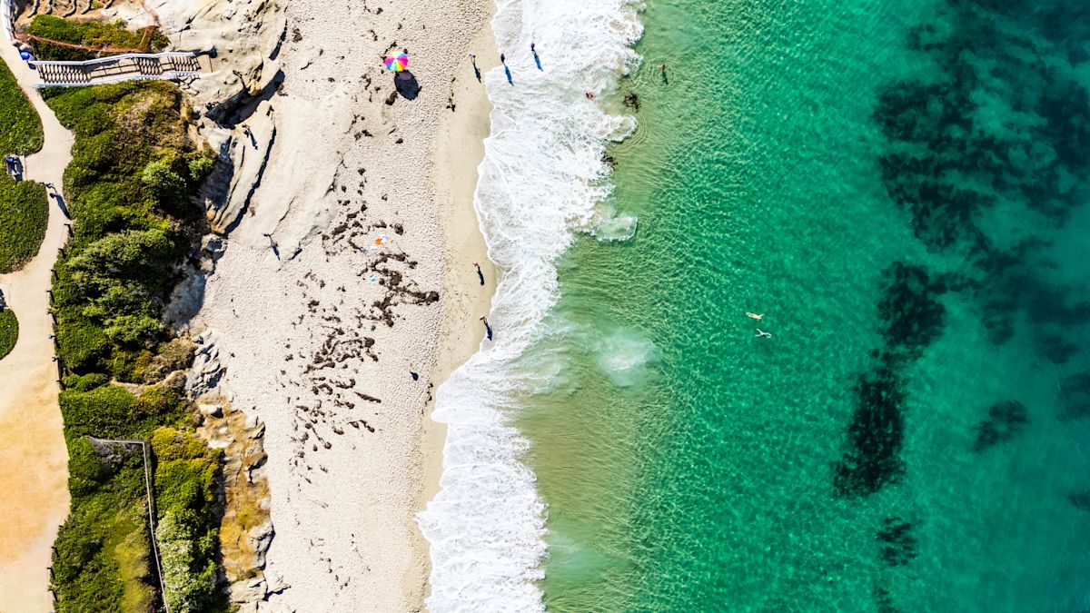 Aerial View of a Beach