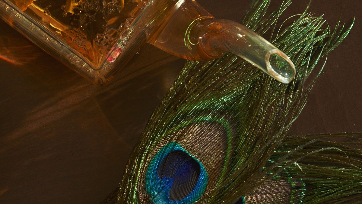 Close-up of Peacock feather and tea pot