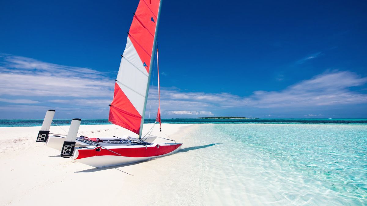 Wind surfing vessel sitting on the beach shore