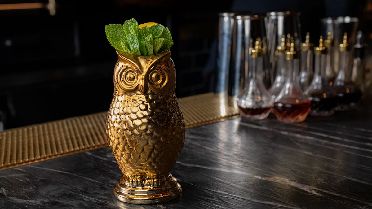 Bronze owl bar, owl glass