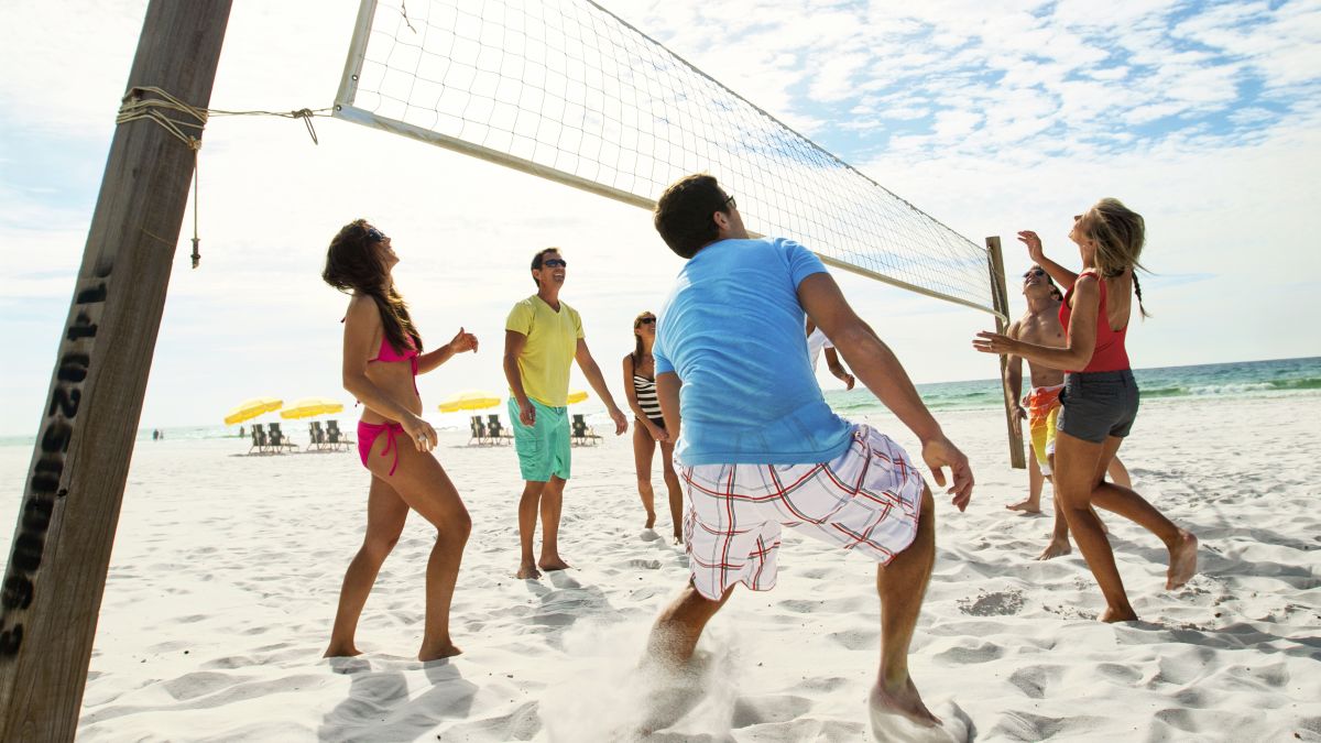 Group of people playing volleyball