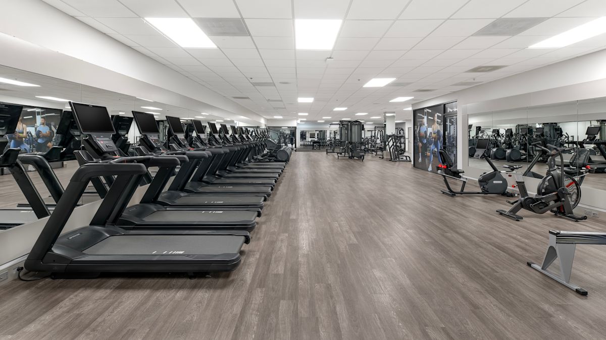 Treadmills and Exercise Bikes in a Fitness Center