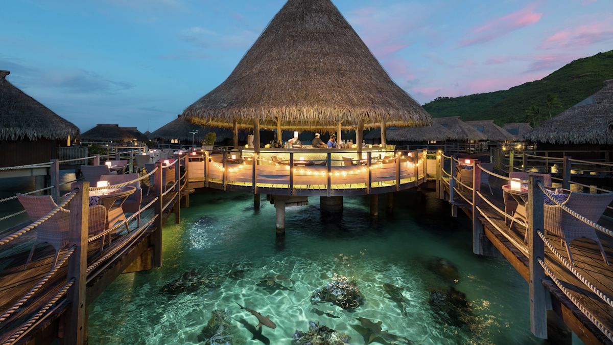 Bar with Seating Area Over Water with Sharks