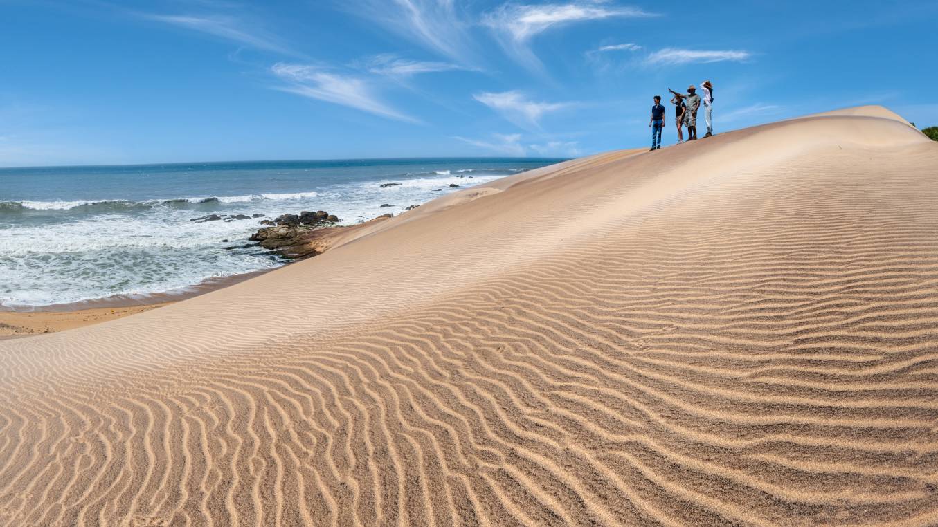 Group of four people standing on a sand dune overlooking the sea