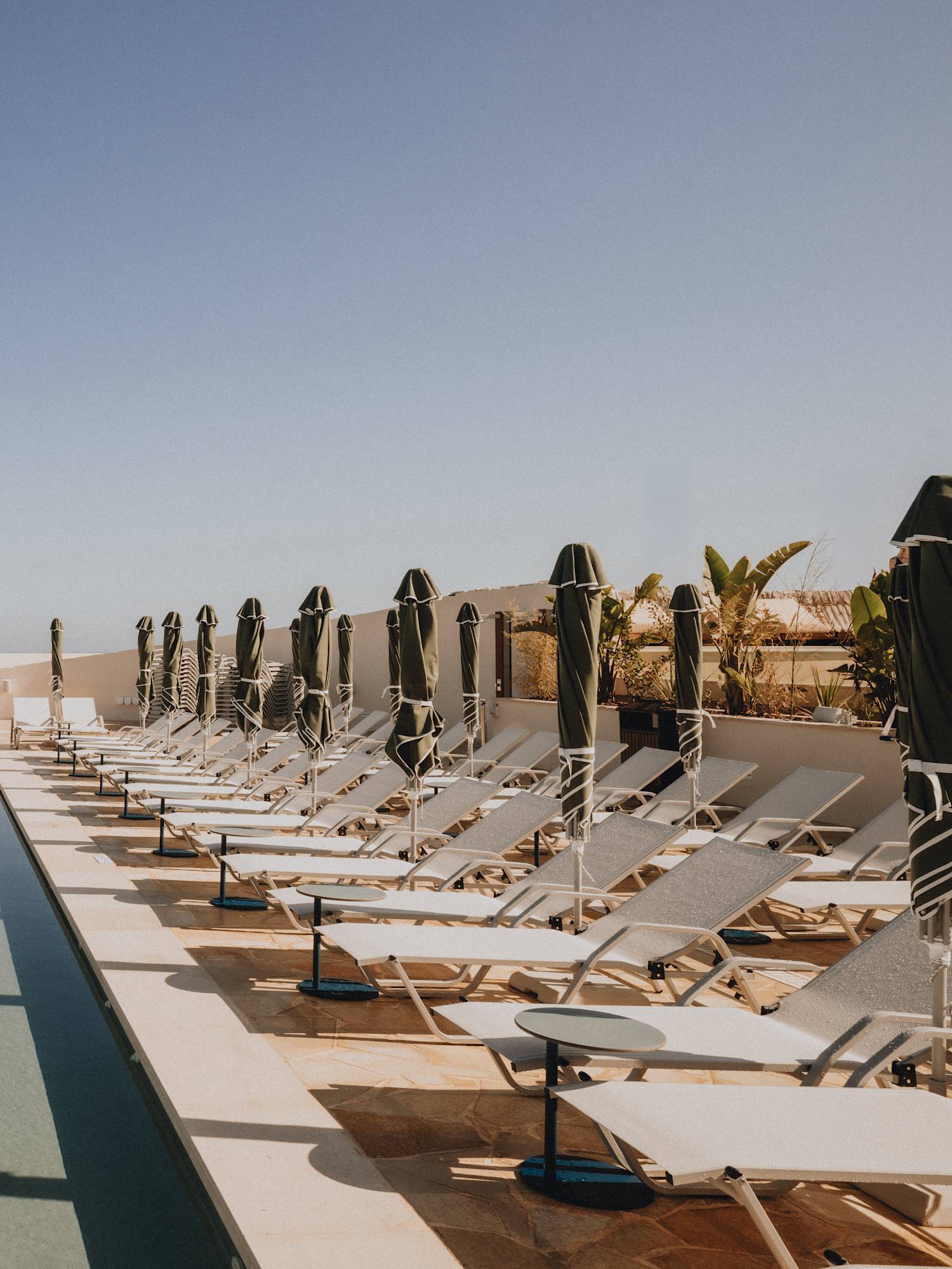 Outdoor pool with loungers