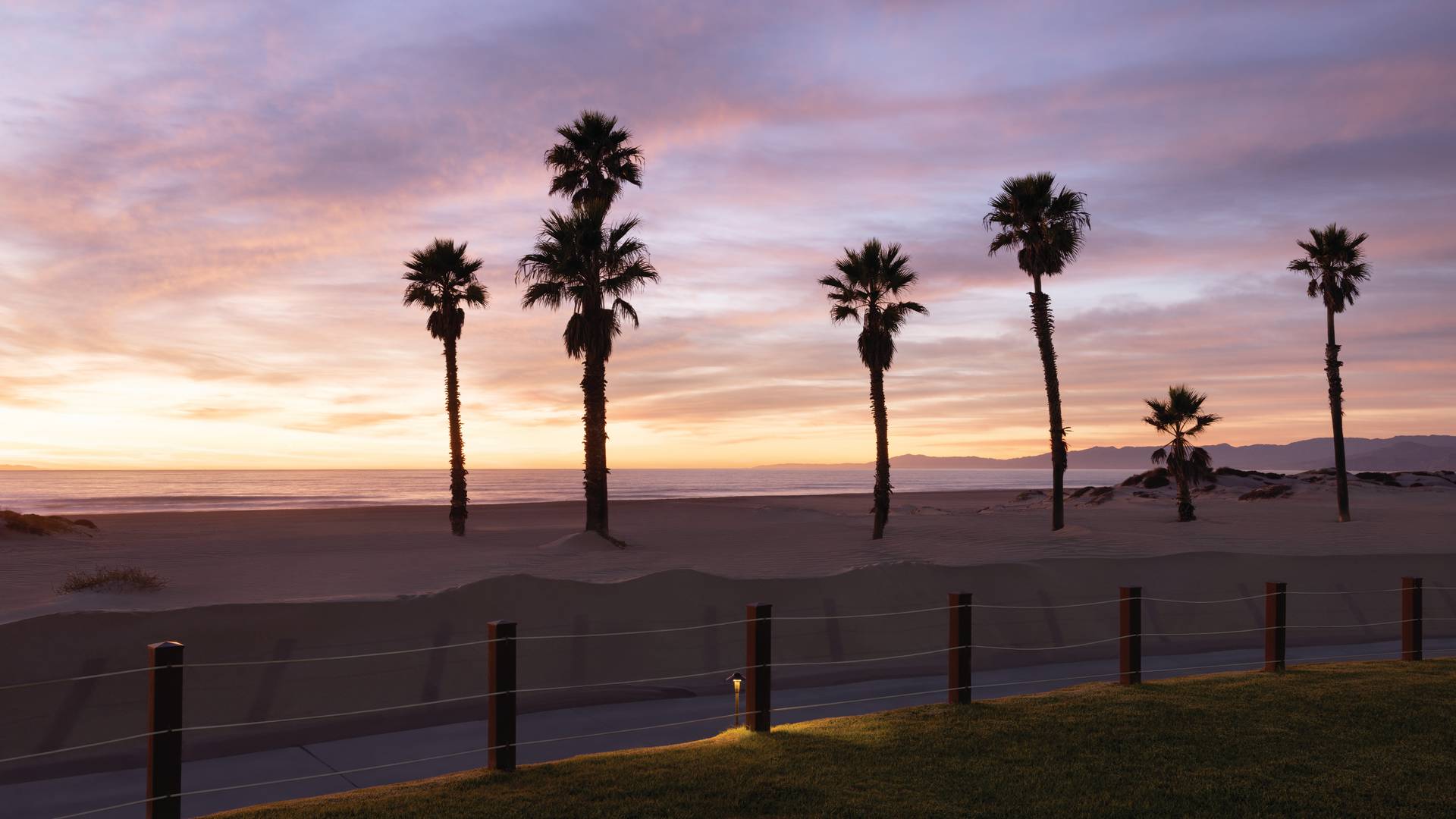 View of a Beach with Palm Trees at Sunset